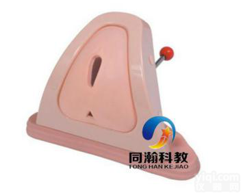 TAH-F3A  高级<em>会阴</em>切开<em>缝合</em>技能训练模型|<em>妇婴</em>