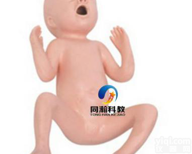 TAH-T331A  24周<em>早产儿</em><em>模型</em>|<em>妇婴</em>