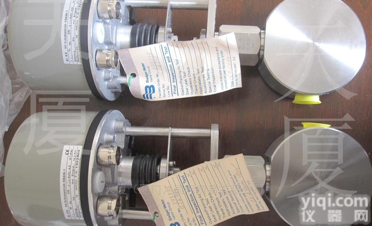 Badger control valve  德国原装Badger meter伺服电机控制阀3/4NPT