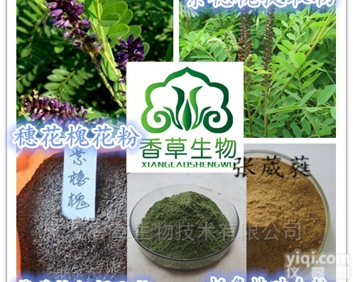紫穗槐<em>多糖</em>  紫穗槐籽<em>提取物</em>10:120:1 板条<em>多糖</em> 保健原料