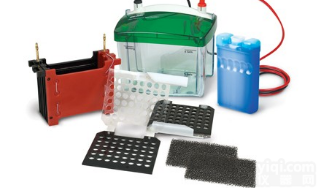 Mini Trans-Blot Electroph  美国<em>伯乐</em>小型<em>转印</em>槽电泳槽1703930