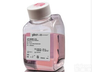Reduced Serum <em>Medium</em>  <em>Gibco</em>  31985070  500ml培养基缓冲液-试剂