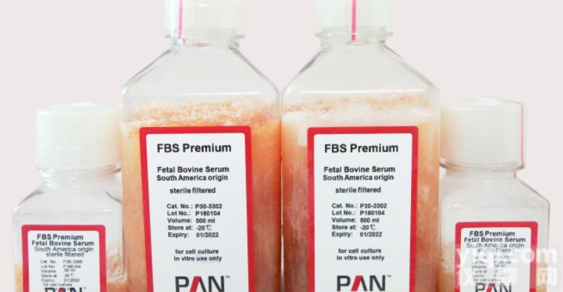 P40-37500  AN胎牛<em>血清</em>（EU<em>认证</em>）