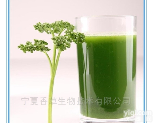 芹菜汁粉  保健原料蔬菜<em>原粉</em> 脱水西芹粉 洋芹菜<em>提取物</em>