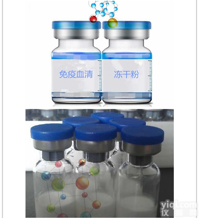 兔抗鸡IgY（干粉）（<em>血清</em>型）<em>现货供应</em>