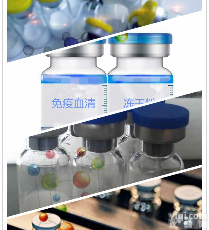 兔抗SPA（金黄色葡萄<em>球菌</em>蛋白A）<em>现货</em>供应