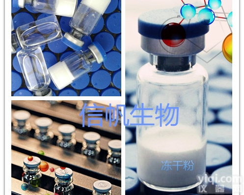 羊抗<em>荧光</em>素（<em>免疫</em>血清）现货供应