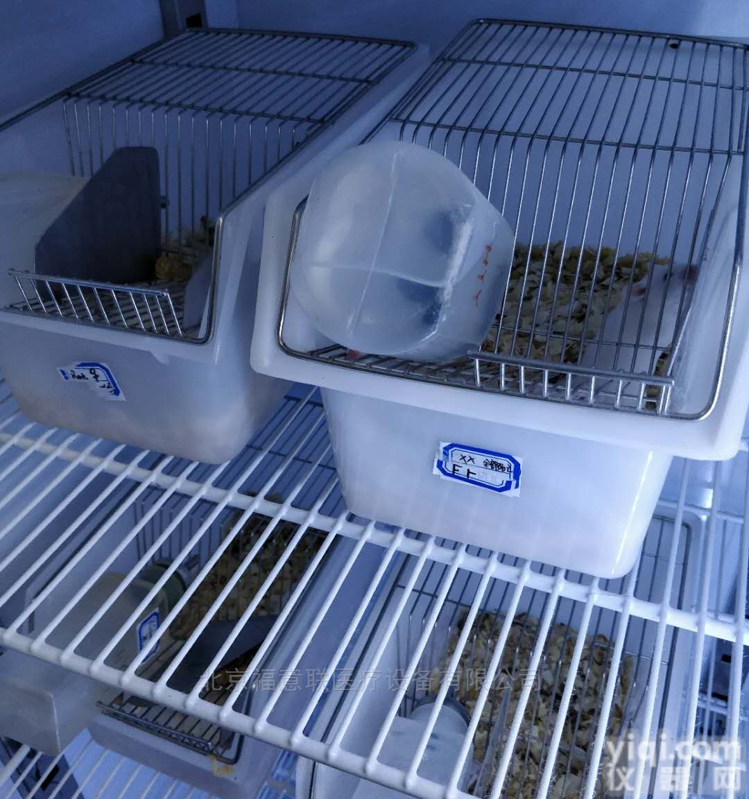 大量<em>饲养</em>小<em>白鼠</em><em>饲养</em>箱