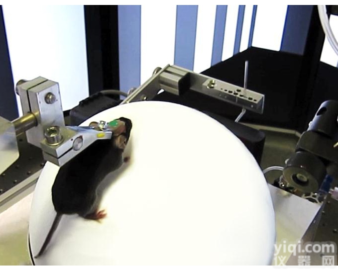 <em>Virtual</em> Reality虚拟实境