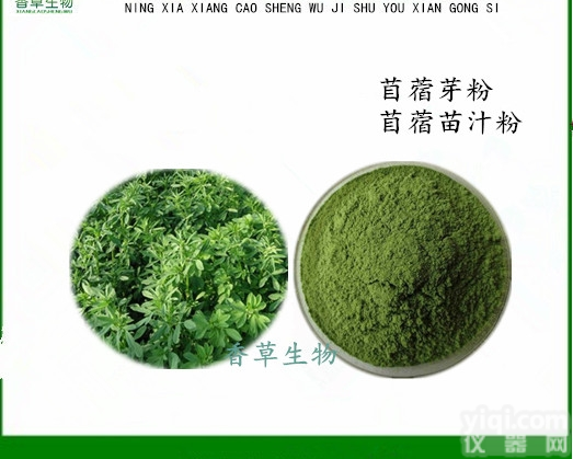 苜蓿<em>提取物</em>  苜蓿根茎芽粉 紫花苜蓿<em>提取物</em> 苜蓿<em>黄酮</em>