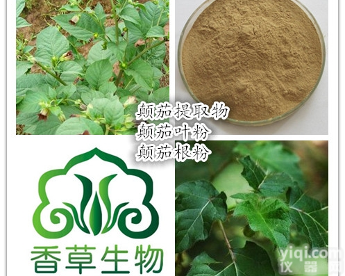 颠茄提取物  颠茄根粉120目 颠茄果<em>浓缩汁</em>粉 野山茄<em>浸膏</em>