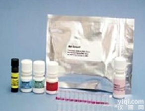 NCAM-L1/CD171试剂盒  <em>人神经细胞粘附分子配体1 ELISA试剂盒</em>