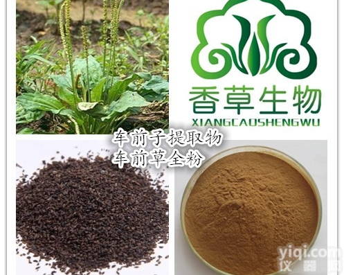 车前<em>草根</em>流浸膏  车前子<em>提取物</em> 车前草全粉 牛耳朵草浓缩液