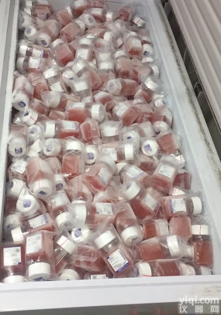 Gibco羊水培养基<em>11269</em>-<em>016</em>