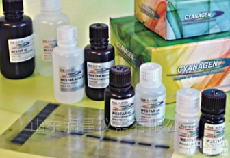 WESTAR<em>系列</em>  WESTAR<em>产品</em><em>系列</em>ECL HRP发光底物