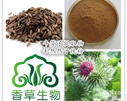 牛蒡根<em>浓缩液</em>  牛蒡子<em>提取物</em>价格 供应毛然然子纯粉 <em>浓缩液</em>
