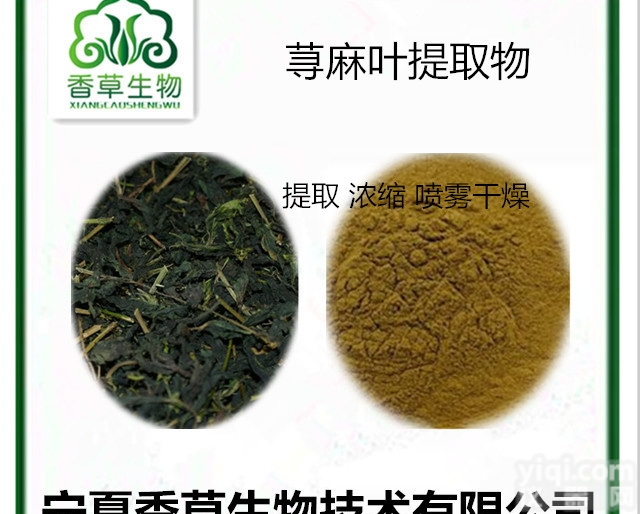 荨麻根<em>浓缩液</em>  荨麻<em>提取物</em>10:1 批发荨麻叶黄酮  荨麻根粉