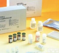 ssDNA<em>试剂盒</em>，人抗<em>单链</em>DNA抗体实验免费