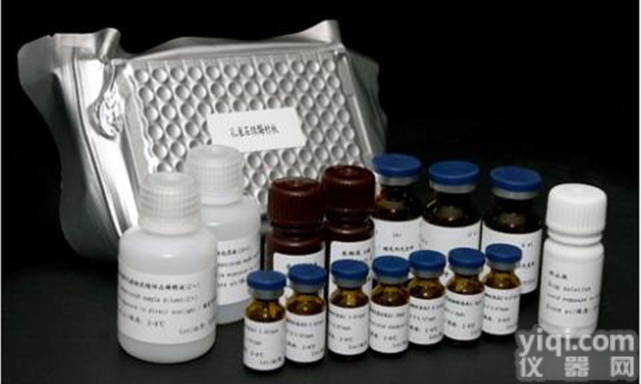 <em>histon</em>-H2b<em>试剂盒</em>，人组<em>蛋白</em>H2b实验免费