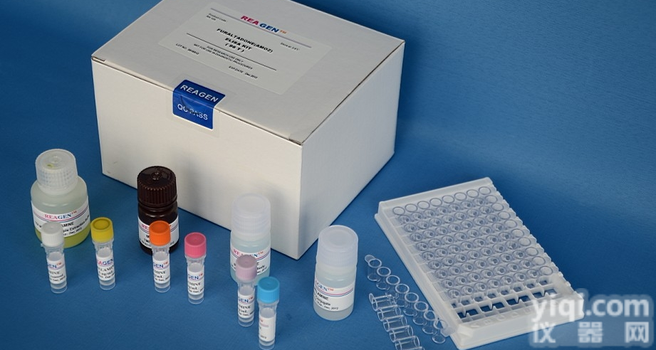 PKB<em>试剂盒</em>批发，<em>小鼠</em>蛋白激酶BELISA样本