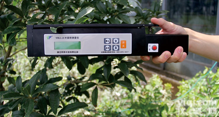 活体叶面<em>测定仪</em>YMJ-D手持<em>叶面积</em>仪