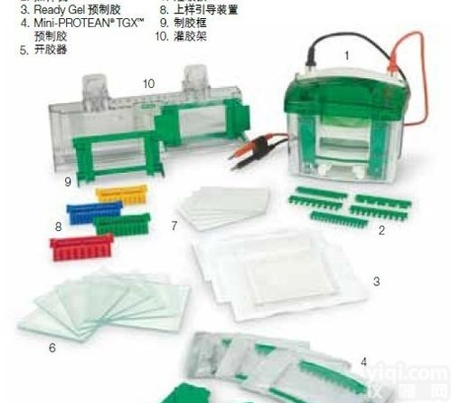 BIO-RAD  <em>伯乐</em>mini<em>电泳槽</em>转印槽