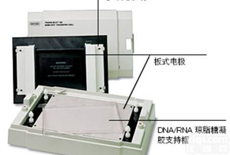 Trans-Blot SD  美国<em>伯乐</em>半干<em>转印</em>系统<em>转印</em>槽1703940