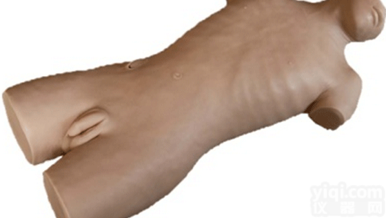 ZK/XC-C65C  <em>穿刺</em>与肝<em>脓肿</em><em>穿刺</em>训练模型