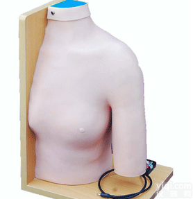 ZK/XC-C70  <em>肩关节</em>腔内注射<em>模型</em>