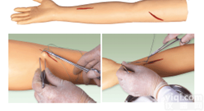 <em>外科</em>缝合手臂<em>模型</em>