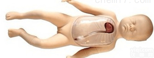 ZK/XC-C68D  <em>新生儿</em><em>外周</em>ZX静脉<em>插管</em>模型