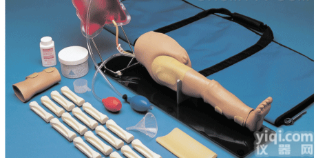 1岁儿童股<em>静脉</em>、<em>动脉</em>、骨内注射腿