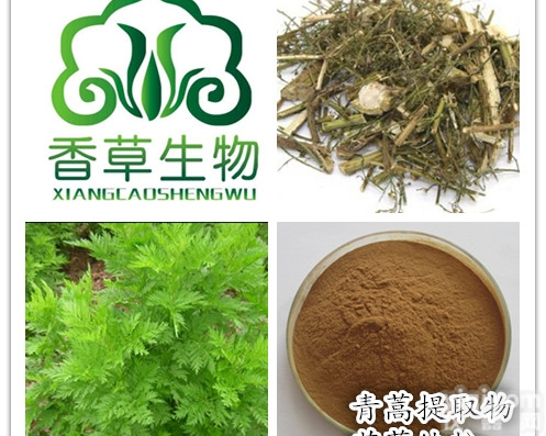 臭<em>青蒿</em>粉  <em>青蒿</em>提取物 批发<em>青蒿</em>粉 臭蒿纤维粉