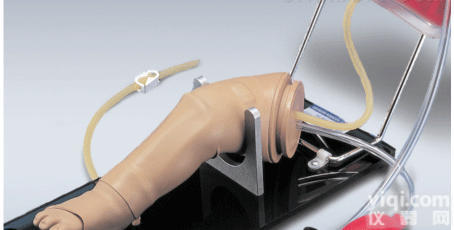 婴儿股<em>静脉</em>、<em>动脉</em>、骨内注射腿