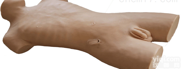 ZK/XC-C69D  <em>心包</em><em>穿刺</em>与心内<em>注射</em>模型