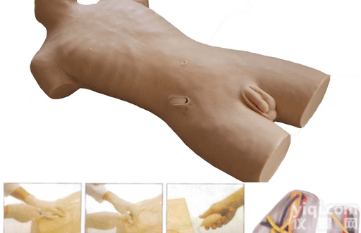 ZK/XC-C69A  ZX<em>静脉</em><em>穿刺</em>注射<em>躯干</em>模型