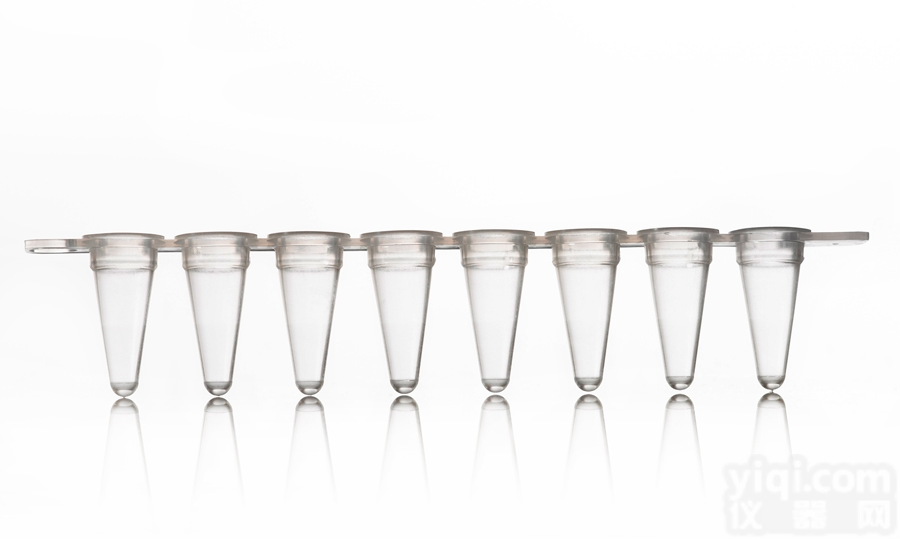 0.1ml<em>八连</em>管<em>八连</em>排<em>透明</em>适合QPCR实验