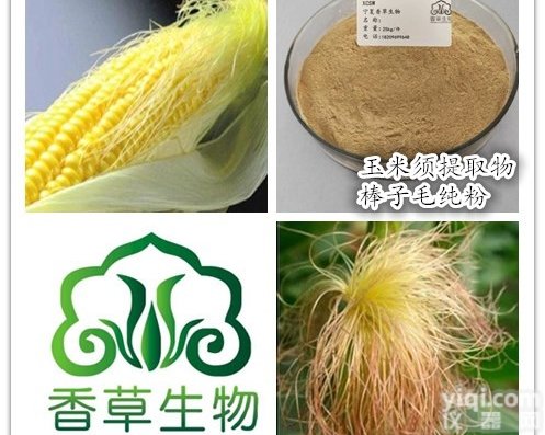 <em>玉米</em>须粉  棒子毛<em>提取物</em>价格 <em>玉米</em>须纯粉批发