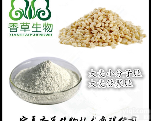 <em>大麦</em>肽  <em>大麦</em>小分子肽 <em>水解</em><em>大麦</em>蛋白肽粉厂家报价