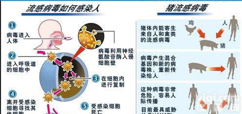 创仑试纸  唾液传播<em>乙型</em>B<em>流感</em>快检卡（胶体金法）