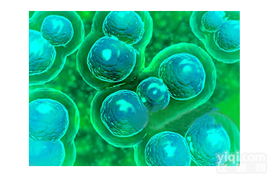 <em>试剂盒</em>  沙眼<em>衣原体</em>抗原快速<em>检测</em><em>试剂盒</em>