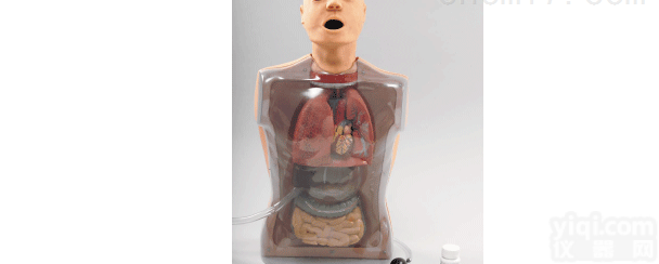 ZK/XC-H405-2  <em>多功能</em>透明<em>洗胃</em><em>训练</em>模型