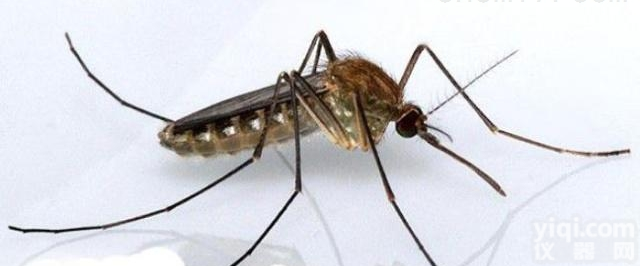 出入境快速<em>筛查</em><em>检测卡</em>（疟疾）