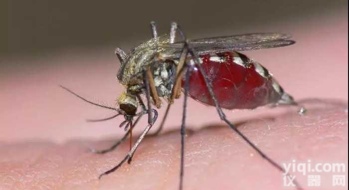 孢子虫<em>疟疾</em>elisa诊断<em>试剂</em>（酶免法）