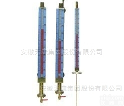 天康UHZ-50/S-UK<em>插入式</em>磁性浮球<em>液位计</em>