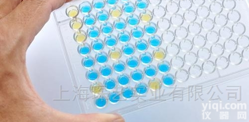 <em>小鼠</em>NADPH<em>氧化酶</em>（NOX）ELISA<em>试剂盒</em>厂家