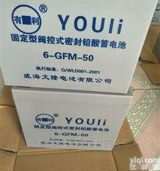 <em>型号齐全</em>  免维护有利<em>铅酸</em>蓄电池