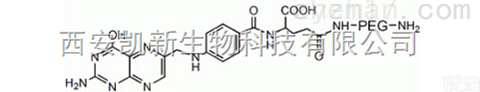 NH2 PEG  NH2-PEG-FA,氨基PEG<em>叶酸</em>,NH2-PEG-<em>Folate</em>