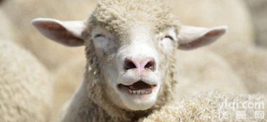 军事科学  人体肺<em>炭疽</em>igg<em>抗原</em>诊断试剂疾控研究所