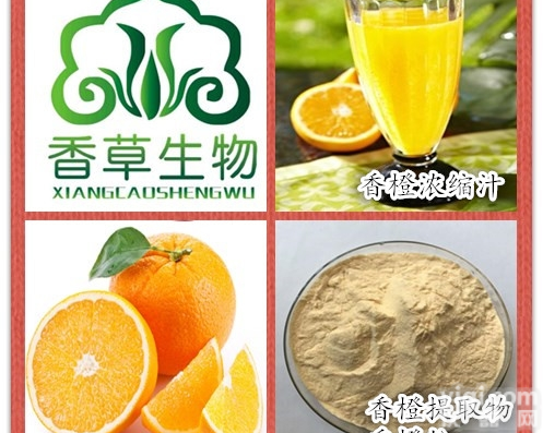 香橙<em>浸膏</em>  香橙提取物 甜橙<em>浓缩汁</em>粉 橙子果皮粉120目